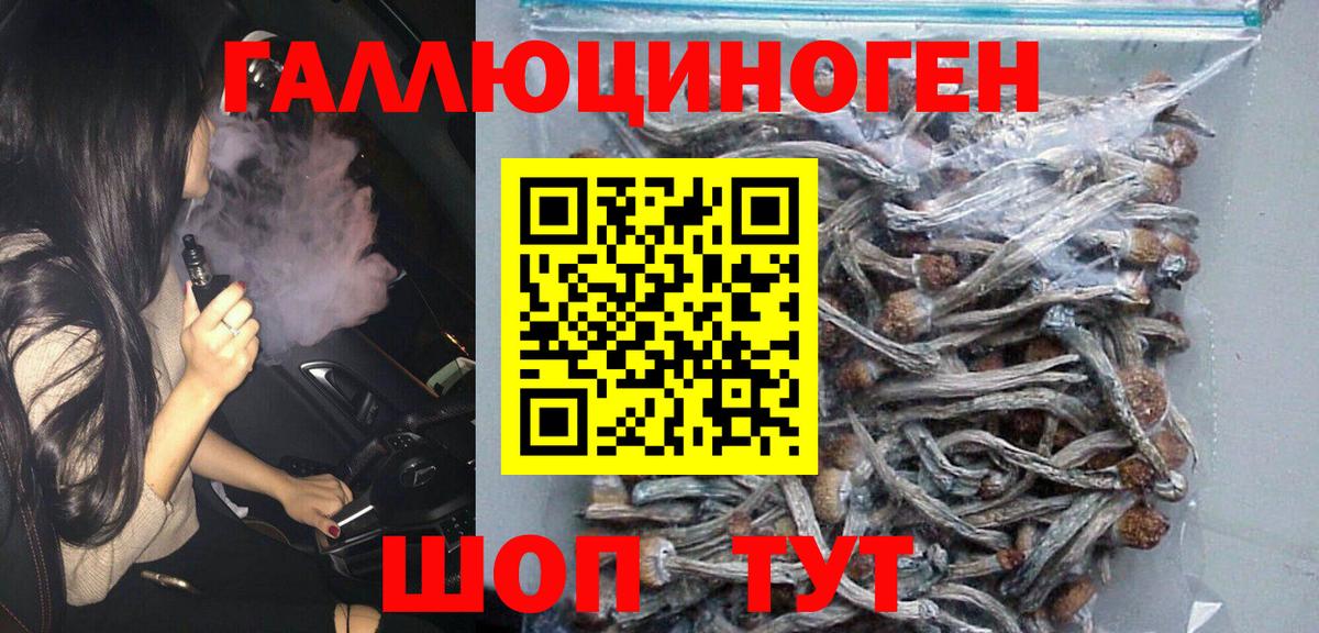 Псилоцибиновые грибы Psilocybine cubensis Муравленко
