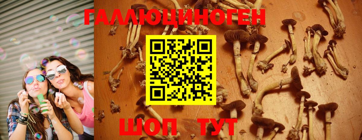 Галлюциногенные грибы Cubensis  Галлюциногенные грибы MAGIC MUSHROOMS  Муравленко  Вход с VPN 